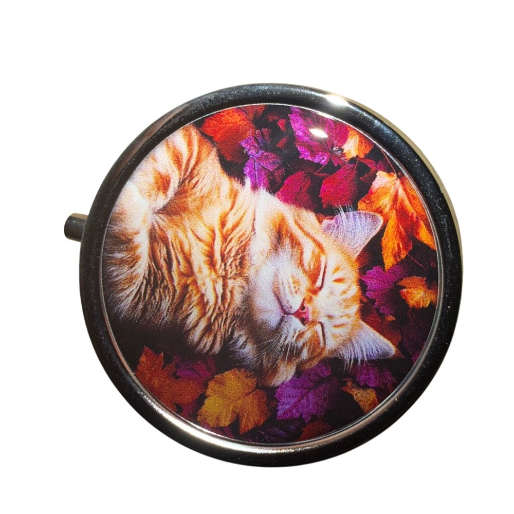 Orange Cat Tabby Pill box‎ Jewelry case New